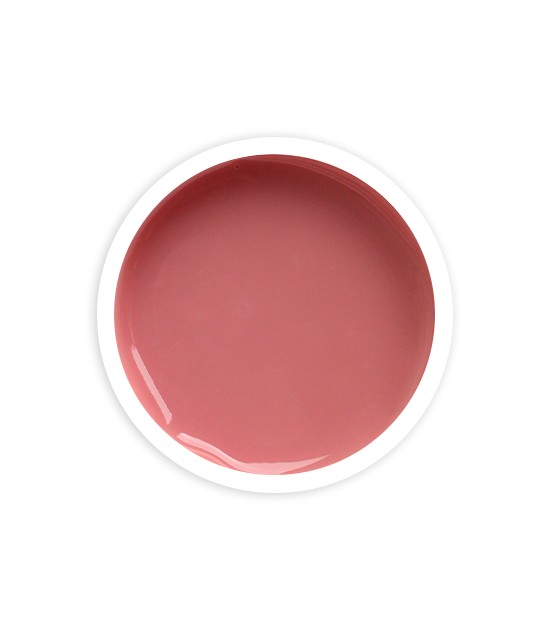 PURPLE ACRYGEL COMBI 100 GR. COVER NUDE P1664 - Imagen 2